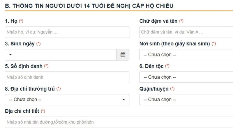 Điền đầy đủ thông tin vào tờ khai điện tử