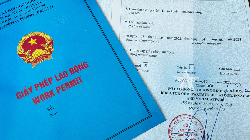 Visa cho người nước ngoài làm việc tại Việt Nam 2026