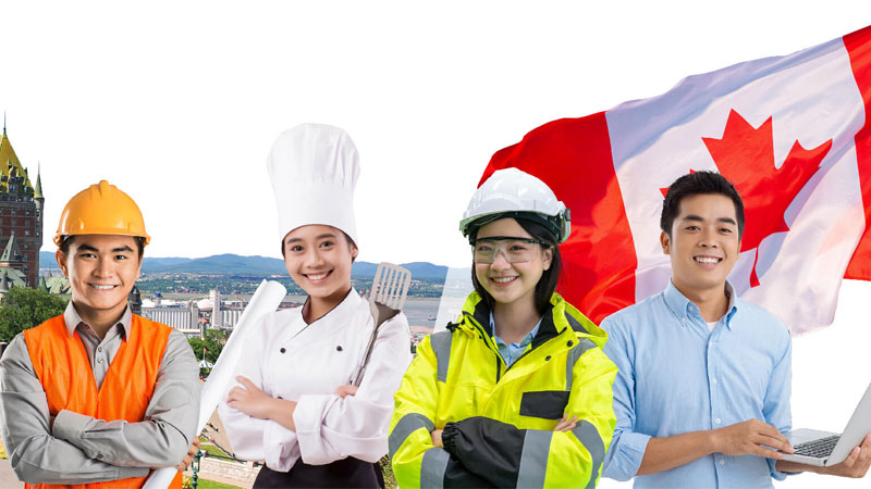 Chính sách chương trình định cư Canada diện du học năm 2026