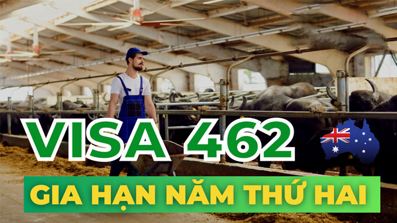 Điều kiện, thủ tục, hồ sơ gia hạn visa 462 năm 2026