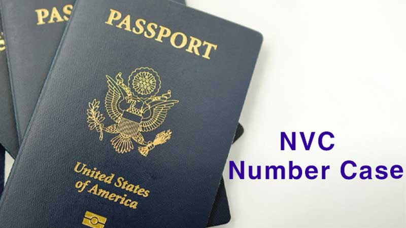 Case Number giống như “mã nhận diện” của một hồ sơ.