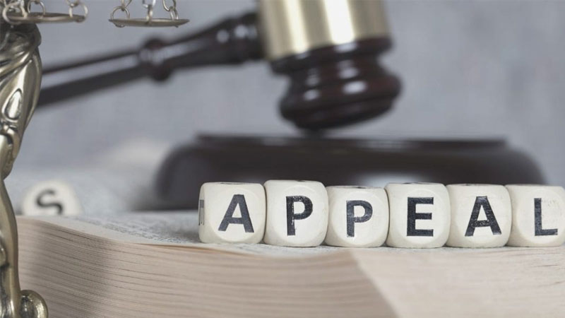 Quyết định ban đầu có sai sót => Cân nhắc Appeal