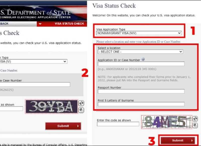 Nhập thông tin trên trang Visa Status Check